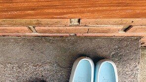 [고양이 눈]고무신과 향수