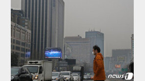 서울시 오전 8시 기준 초미세먼지 주의보…“외출 자제”