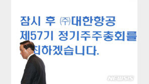 조양호 회장 불명예 퇴진…29일 한진칼 주총에 미칠 영향은?