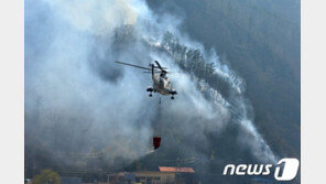 안동 임하면 야산에 불…강풍 타고 번져