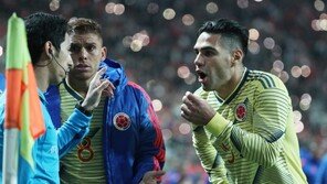 英매체도 놀란 팔카오 비매너…콜롬비아선 손흥민 제스처 지적