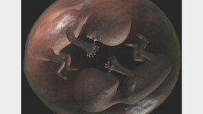 한배에서 나온 쌍둥이, 왜 이리 다르지 했는데…헉, 아빠가 둘