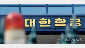 조양호 회장, 과반 찬성 넘고도…20년 전 정관변경에 ‘발목’