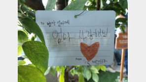 [청계천 옆 사진관] ‘甲質疾’(갑질질) 메모…조양호 회장 주주들 손에 밀려나