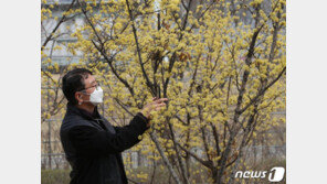 [날씨] 28일 봄기운 완연한데…수도권·중부 ‘잿빛하늘’