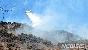 경북 구미 왕산골서 산불 발생…소방당국 “쓰레기 소각하다…”