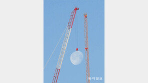 [고양이 눈]별도 달도 따줄게