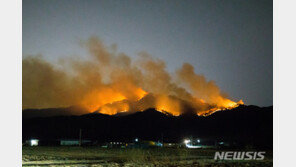 구미 산불 14시간 만에 불길 잡혀…15㏊ 태워
