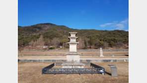 충남 ‘보령 성주사지 동 삼층석탑’, 보물 됐다…1200년 전 것