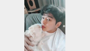 윤균상 반려묘, 무지개 다리 건너…“가슴 불타는 기분”