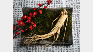 우리 아이 스트레스… 인삼으로 작별하자