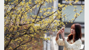 [날씨] 29일 일교차 10도 ‘감기 조심’…미세먼지 ‘보통’ 수준