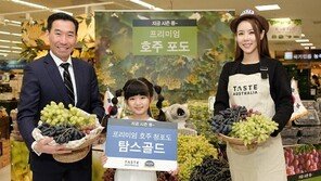 호주산 포도 판매 본격화…이마트·신세계·현대백화점 입점