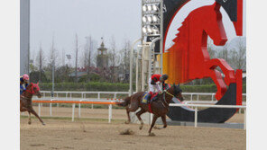 4월 경마시행계획 발표…총 88경주
