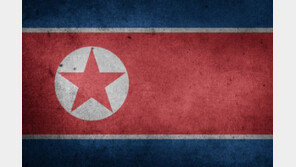 “홍 창, 북핵 정보 빼내려 北대사관 습격…직원 폭행도 북핵 자료 얻기 위한 것” 