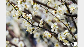 [날씨]29일 일교차 10도 ‘감기 조심’…미세먼지 ‘보통’ 수준