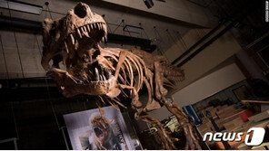 6800만년전 지구에 9.8톤짜리 ‘티라노사우르스 렉스’ 살았다