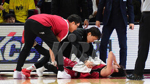 ‘부상은 이제 그만’ PO마저 덮친 부상 악령