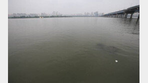 한강 고등학생 사망, 유튜브 올릴 영상 찍으려다 ‘참변’