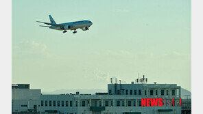 대한항공, 땅콩 알레르기 승객 ‘탑승 거부’ 논란 커지자 사과