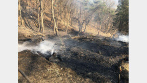 [종합] 남양주 천마산에서 산불, 3시간 만에 진화…인명피해 無