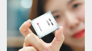 지난해 차량 전장부품서 9633억 원 매출… 독일-미국 등 세계서 품질 우수성 인증