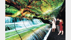 ‘돌돌마는 TV’ 등으로 올레드시장 주도권 강화… “2년간 16조원 투자”