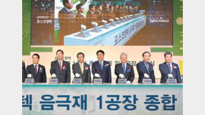 “100년 기업 만들자” 비철강 사업 경쟁력 강화 나선다