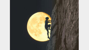 불굴의 DNA, 경기 어두울수록… 혁신 아이디어 더 빛나는 한국 기업