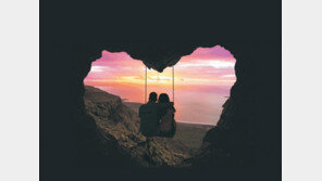 사랑의 DNA 사회공헌 넘어 저출산 - 청년실업 해결 나선 한국 금융