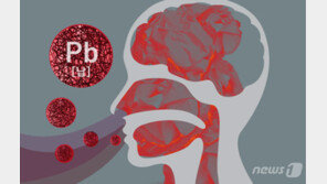 아동기 납중독, 성인되면 정신질환 발병위험 높다