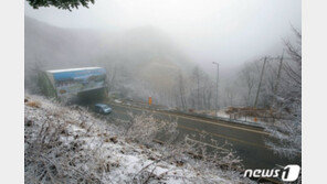 [날씨] 31일 전국 흐리고 강원도 ‘눈’…미세먼지는 ‘보통’