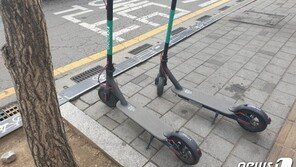 봄 되니 음주 전동킥보드 활개…모두 다 불법에 면허증도 필수