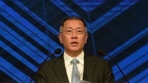 숨 고르던 현대차그룹 지배구조 개편…재추진 시나리오는