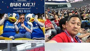 표창원, 황교안 축구장 유세 논란에 “黃·선관위, 둘 중 하나는 거짓말”