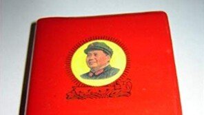 中 문화혁명 시절로 돌아갔다…시진핑판 소홍서 나와