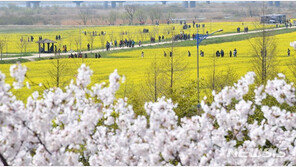 3월 한달 동안 부산 일최고기온 10도 이상…역대 최고