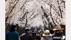 3월 평균기온 7.4도로 관측이래 4번째 높아…후반 꽃샘추위 기승