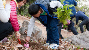 한국암웨이, 미세먼지 맞서 공기 정화 위한 캠페인 활동 진행