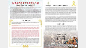 ‘김정은 서신’ 표방 정부 비판 대자보, 처벌 가능할까