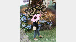 [고양이 눈]사람이 꽃보다 아름다워