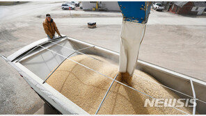 中, 미국산 대두 83만t 추가 구매…미중협상 진전 신호