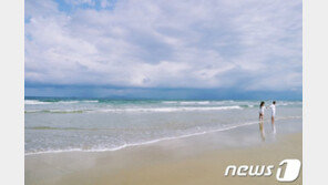 여행사로 해외여행 덜 간다…자유여행 수요 32.7%↓