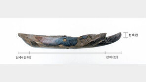경주 월성서 가장 오래된 ‘의례용 모형 목재 배’ 나왔다