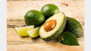 美-멕시코 국경 폐쇄되면?…“美서 아보카도 3주 안에 바닥”