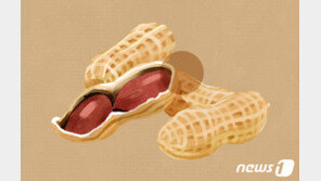 땅콩 ‘속껍질까지 먹어야’…혈액순환과 포도당분해 돕는다