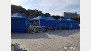 고양시, 호수공원 인공암 구조물 긴급 철거…왜?