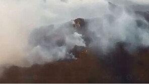 부산 운봉산 화재, 헬기 3대 투입에도 강풍·건조한 날씨 탓 진화 ‘난항’ 