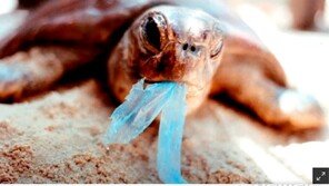 국민 10명 중 9명 “일회용 플라스틱 강력 규제 원해”