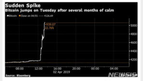 비트코인, 2일 23% 급등…지난해 11월 이후 최고가 경신